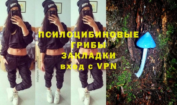 СК Верхний Тагил