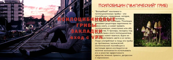 гашик Верея