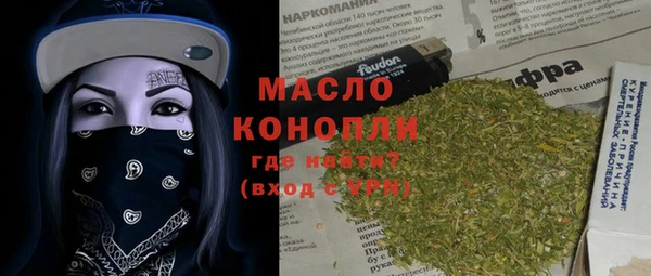 гашик Верея